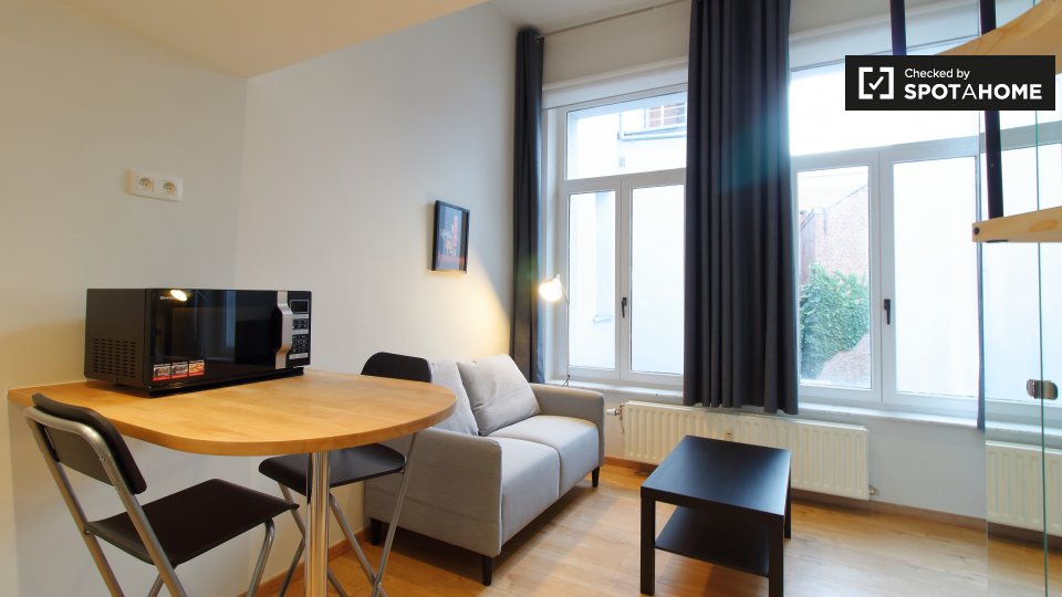 Chic studio apartment for rent in Brussels' City Center (ref 385508