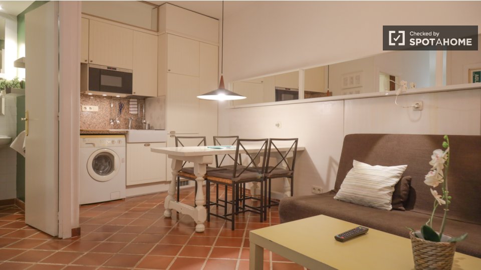 Apartment mono Madrid, 34m² — photo 11