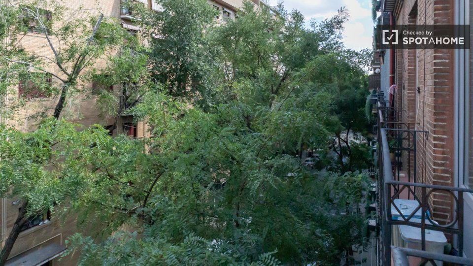 Double room Madrid, 3 beds — photo 16