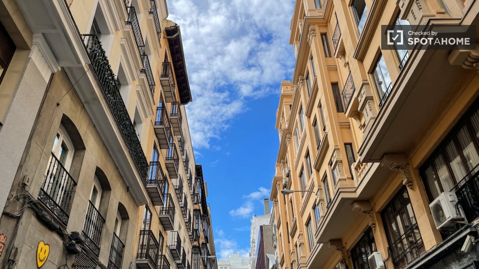 Apartment mono Madrid — photo 6