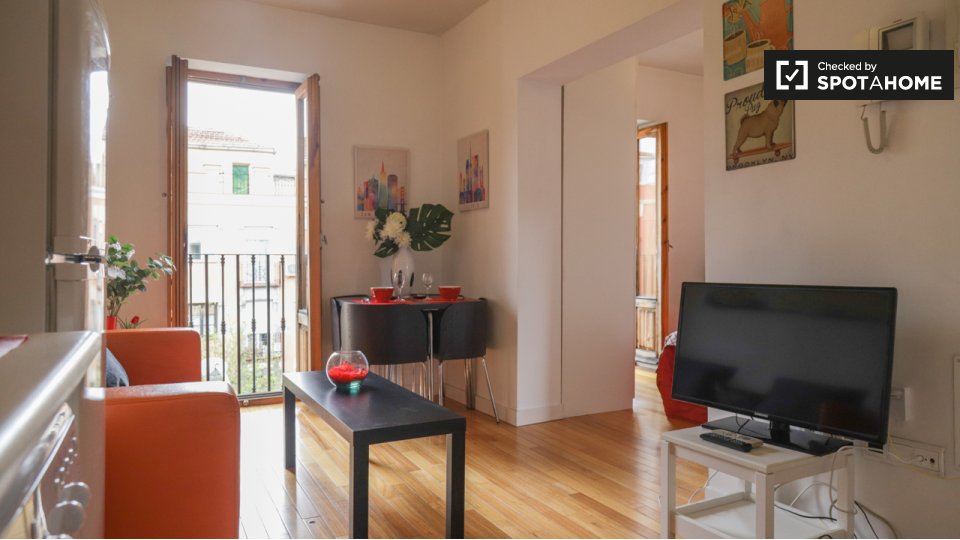 Apartment mono Madrid — photo 3