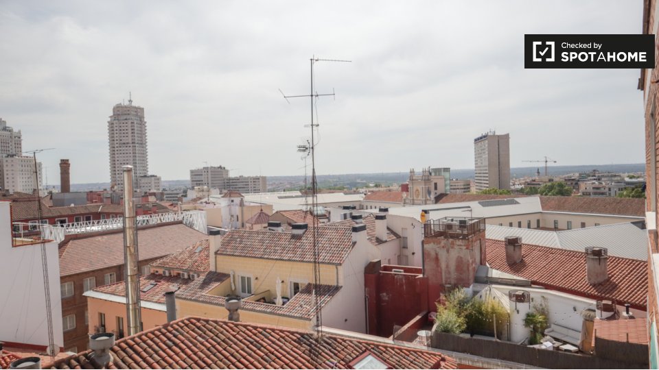 Apartment mono Madrid, 23m² — photo 10