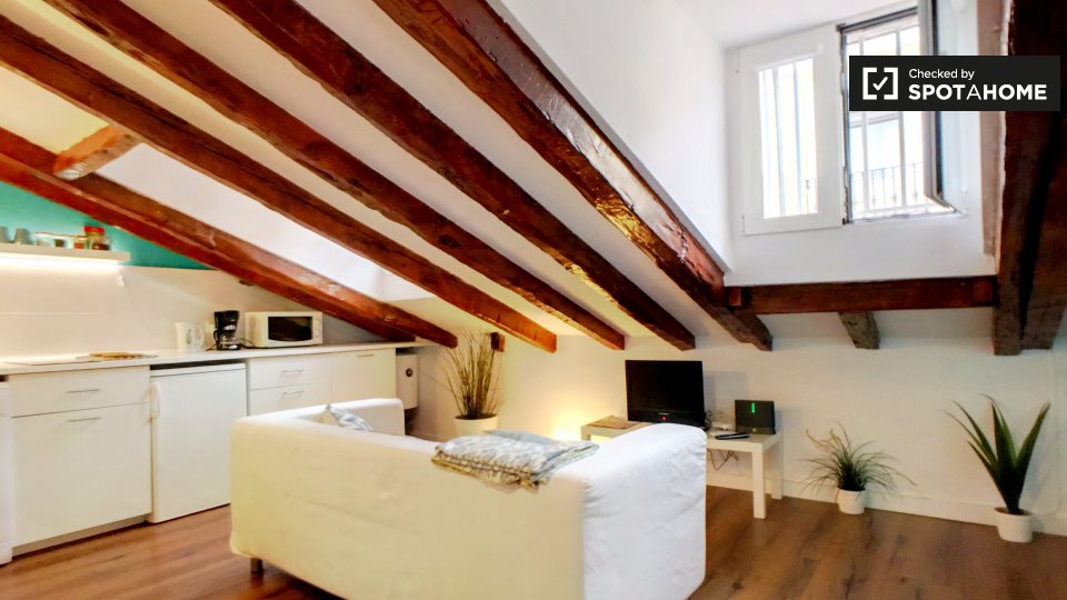 Apartment mono Madrid, 30m² — photo 11