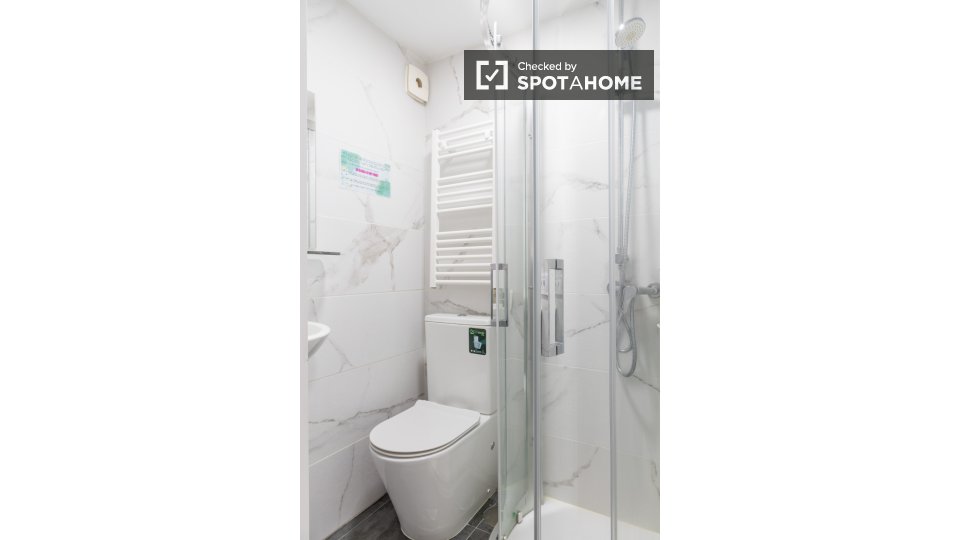 Double room Madrid, 5 beds, 101m² — photo 36