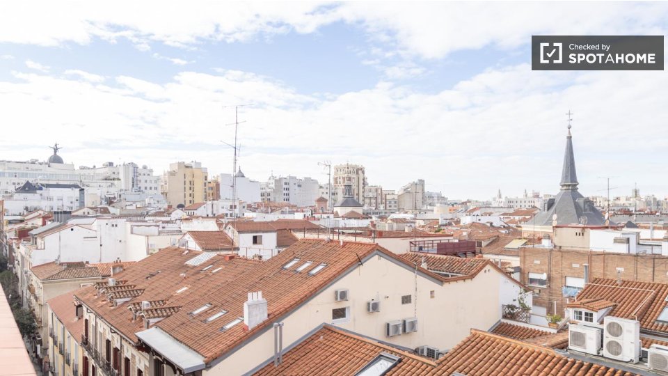 Apartment Madrid, 1 bed — photo 37