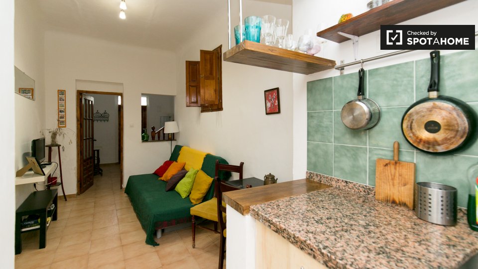 Apartment Granada, 1 bed, 60m² — photo 5