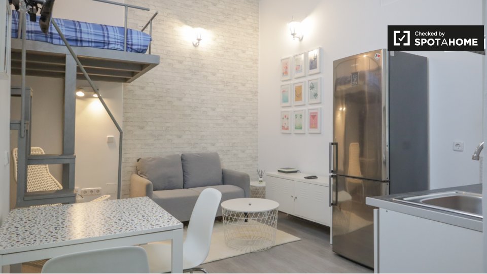 Apartment mono Madrid — photo 10