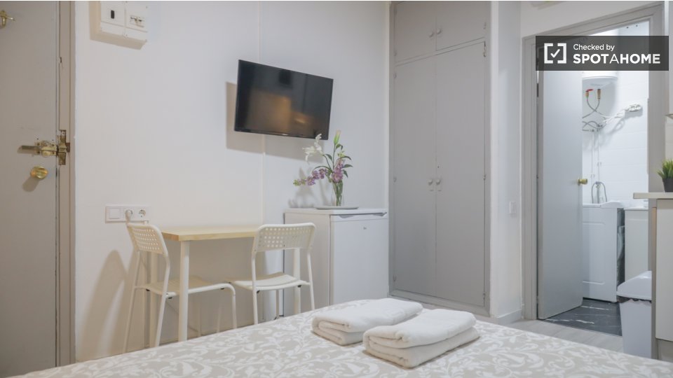 Apartment mono Madrid, 20m² — photo 6