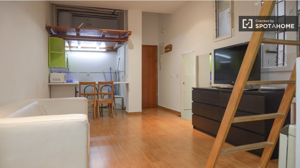 Apartment mono Madrid — photo 4