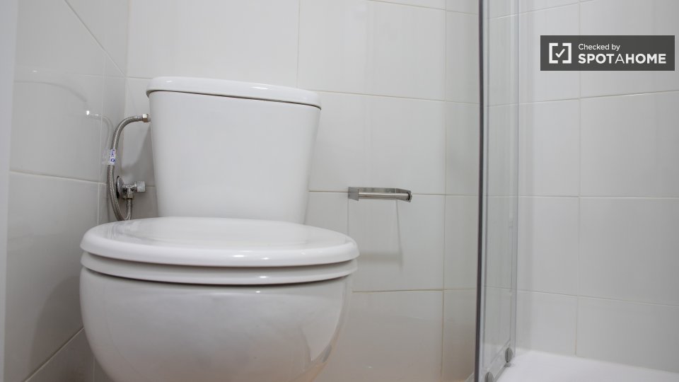 Double room Madrid, 3 beds, 56m² — photo 15