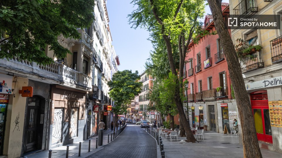 Apartment Madrid, 1 bed — photo 60