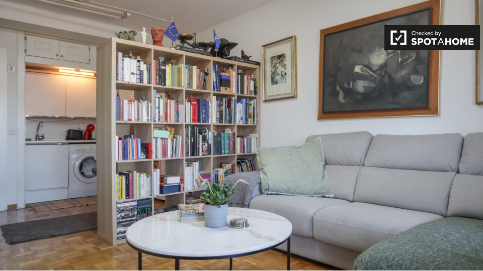 Apartment Madrid, 1 bed — photo 4