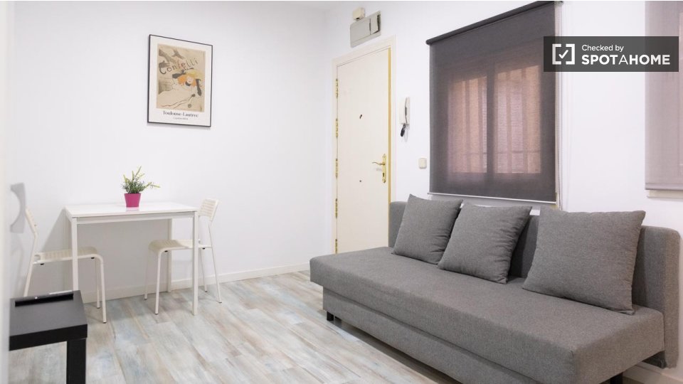 Apartment mono Madrid — photo 14