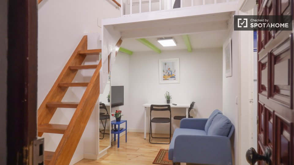 Apartment mono Madrid, 27m² — photo 12