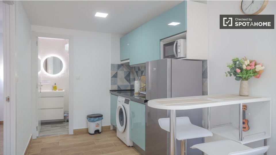 Apartment Madrid, 1 bed — photo 10
