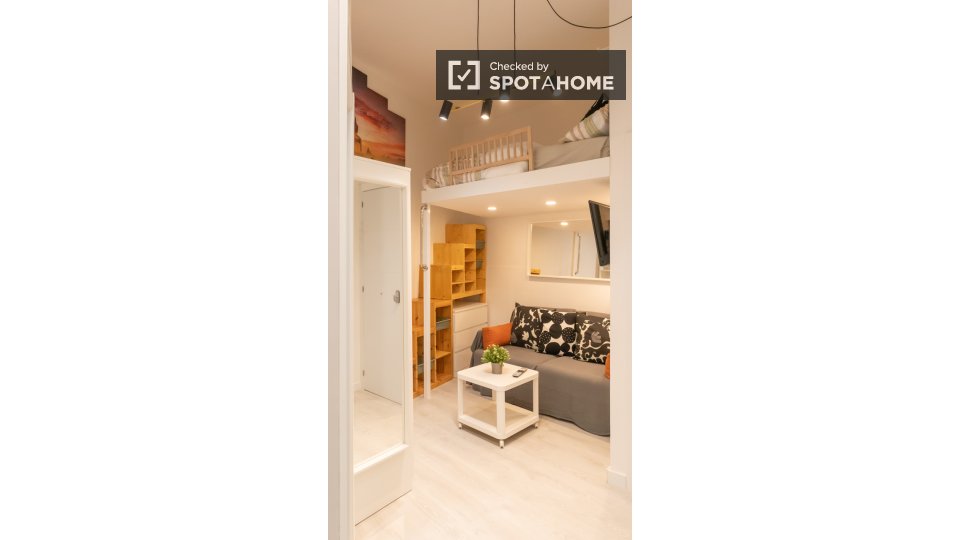 Apartment mono Madrid, 30m² — photo 13