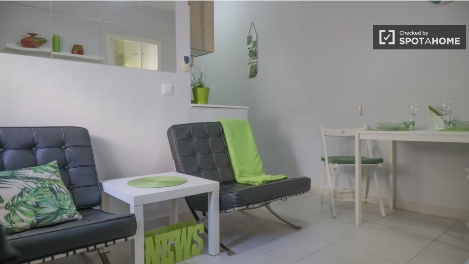 Apartment mono Madrid — photo 15