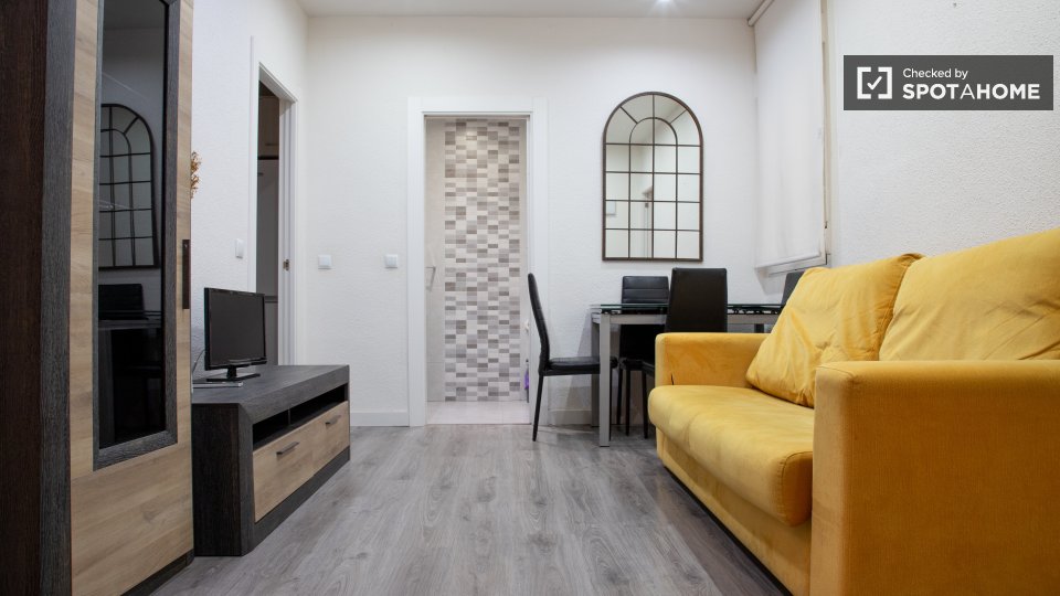 2bedroom apartment ifor rent in Salamanca, Madrid (ref 249702
