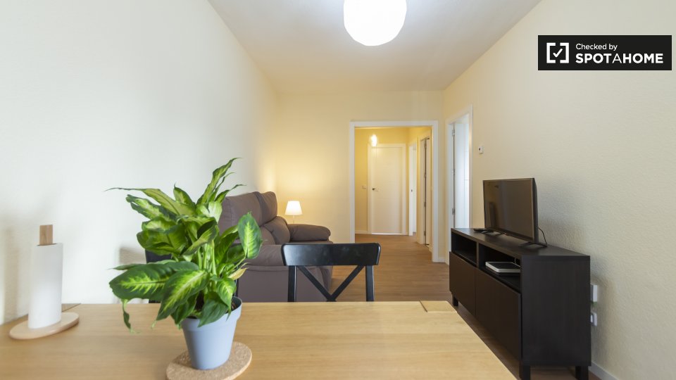 Double room Madrid, 3 beds, 65m² — photo 11