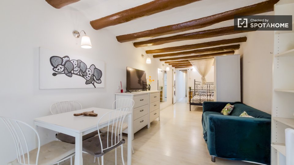 Apartment mono Barcelona — photo 1