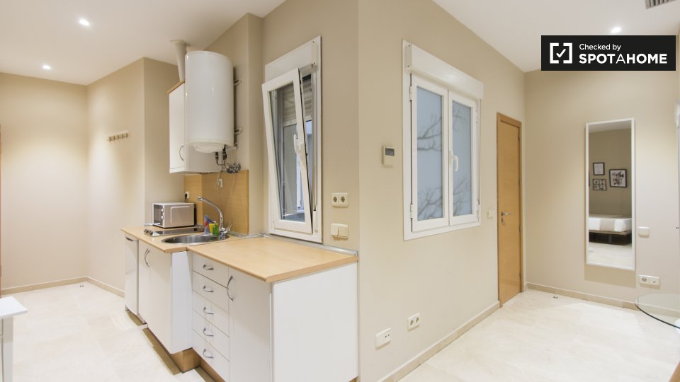 Apartment mono Madrid, 22m² — photo 8