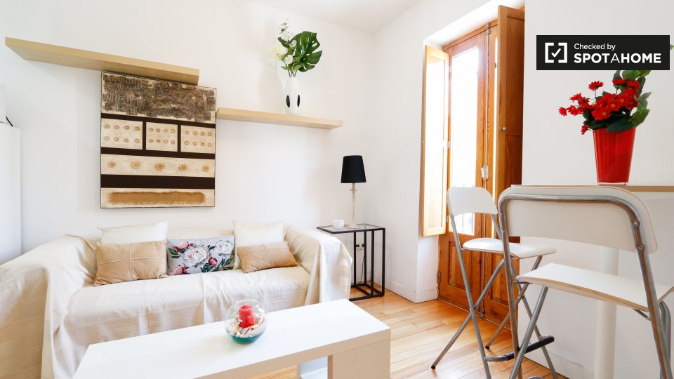 Apartment mono Madrid — photo 4