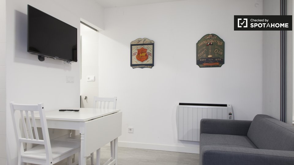 Apartment mono Madrid, 25m² — photo 1