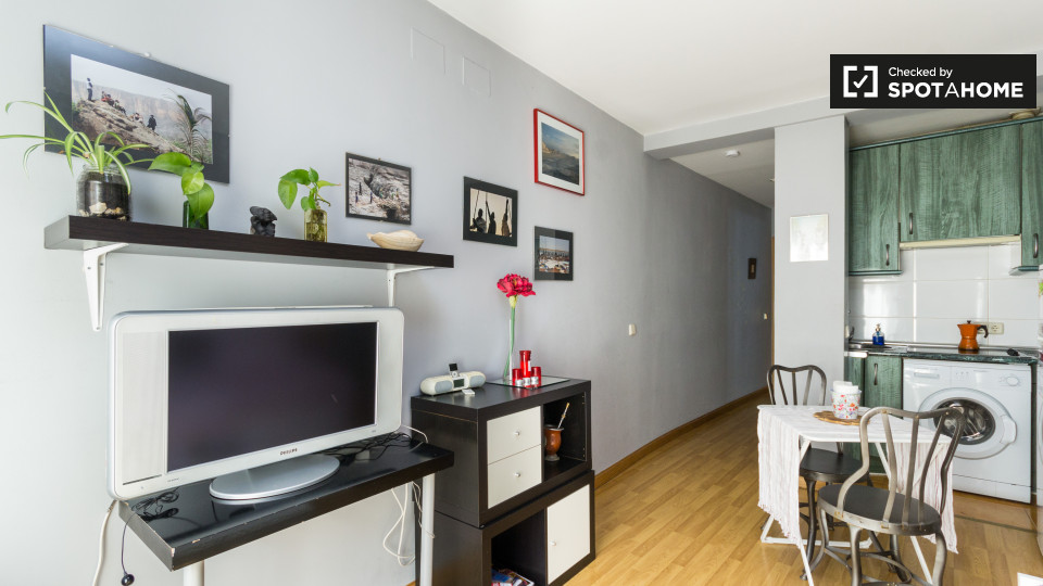 Apartment mono Madrid, 25m² — photo 4