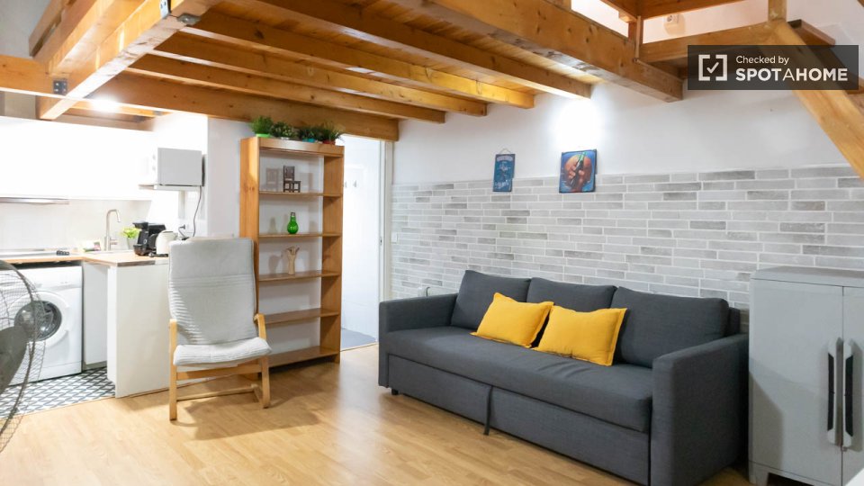 Apartment mono Madrid, 48m² — photo 11