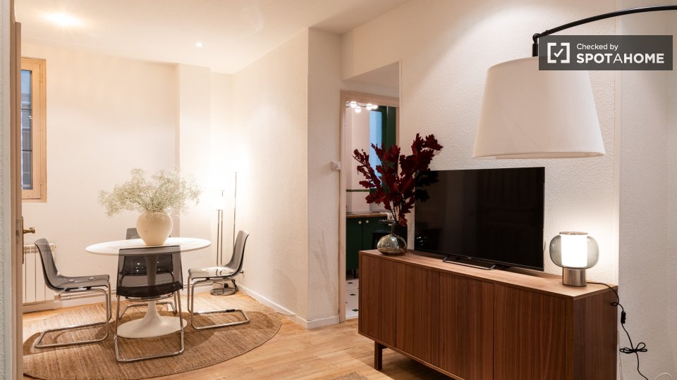 Apartment Madrid, 1 bed — photo 5