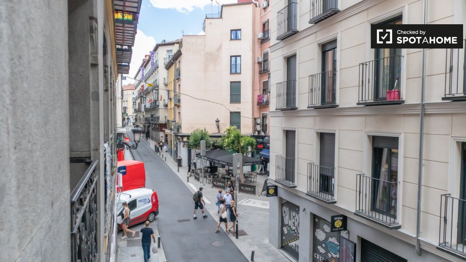 Double room Madrid, 7 beds, 130m² — photo 6