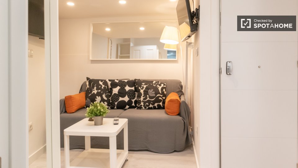Apartment mono Madrid, 30m² — photo 14