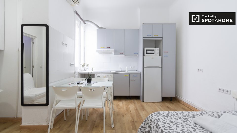Apartment mono Madrid, 25m² — photo 7