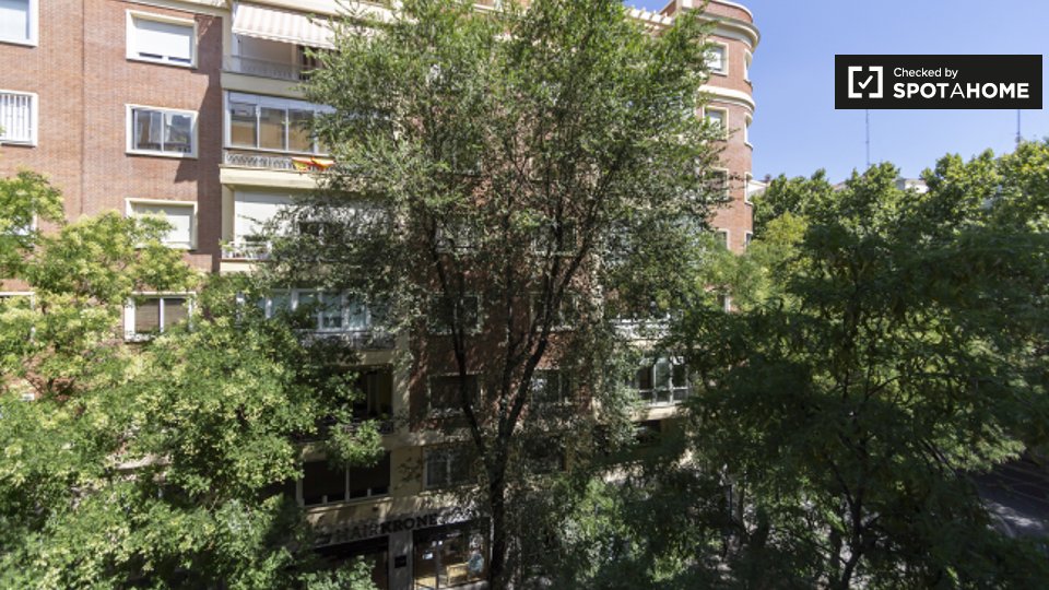 Apartment mono Madrid — photo 13