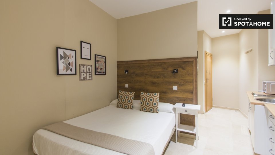 Apartment mono Madrid, 22m² — photo 6