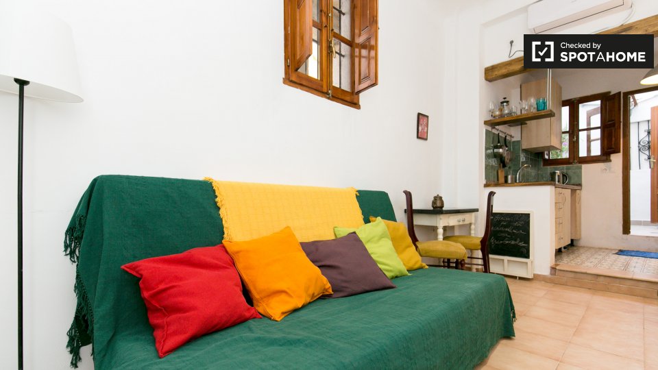 Apartment Granada, 1 bed, 60m² — photo 14