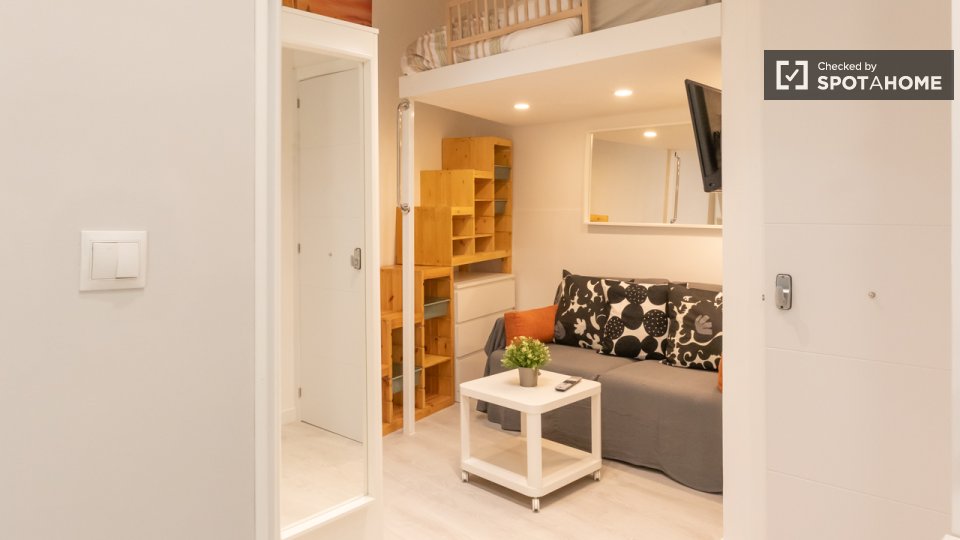 Apartment mono Madrid, 30m² — photo 12