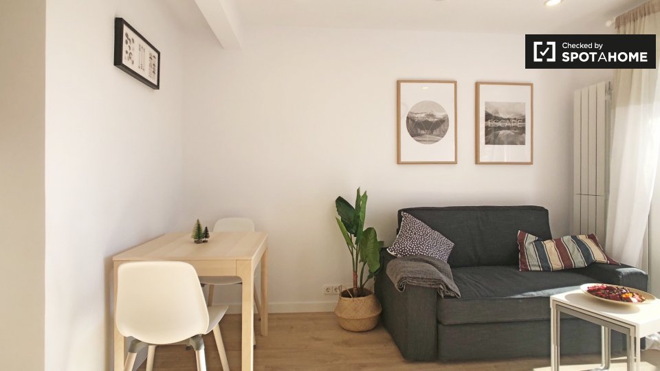 Double room Madrid, 2 beds, 60m² — photo 6