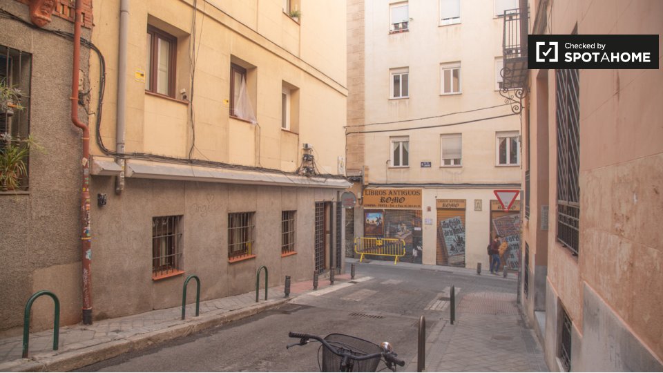 Apartment Madrid, 1 bed — photo 8
