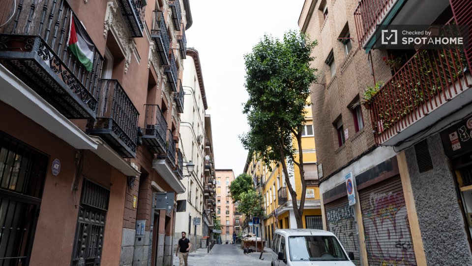 Apartment Madrid, 1 bed — photo 8