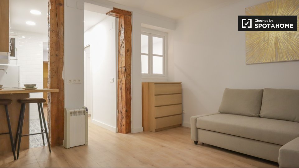 Apartment mono Madrid, 50m² — photo 11