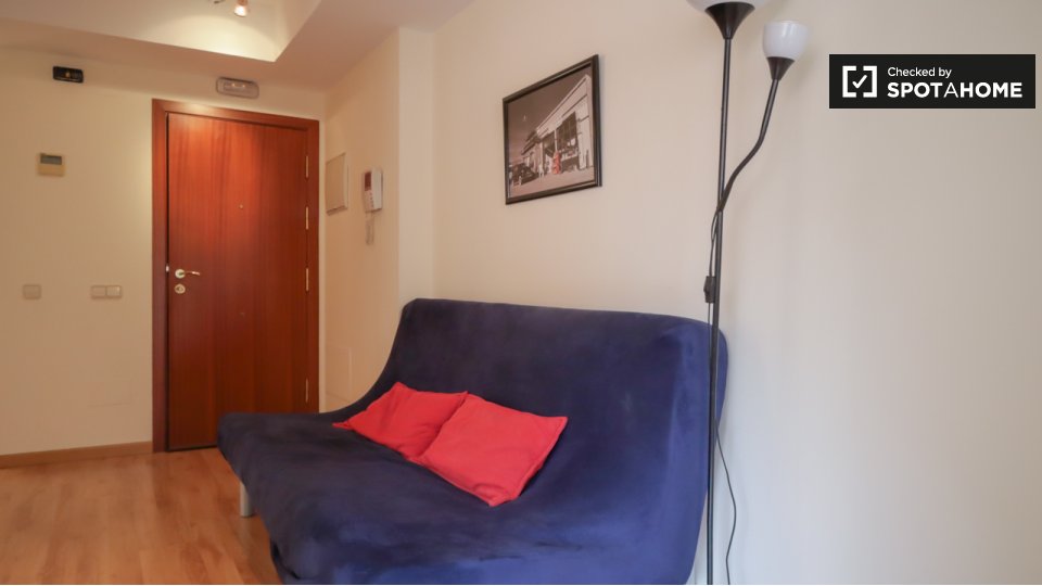 Double room Madrid, 2 beds — photo 9