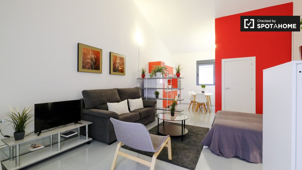 Apartment mono Madrid — photo 3