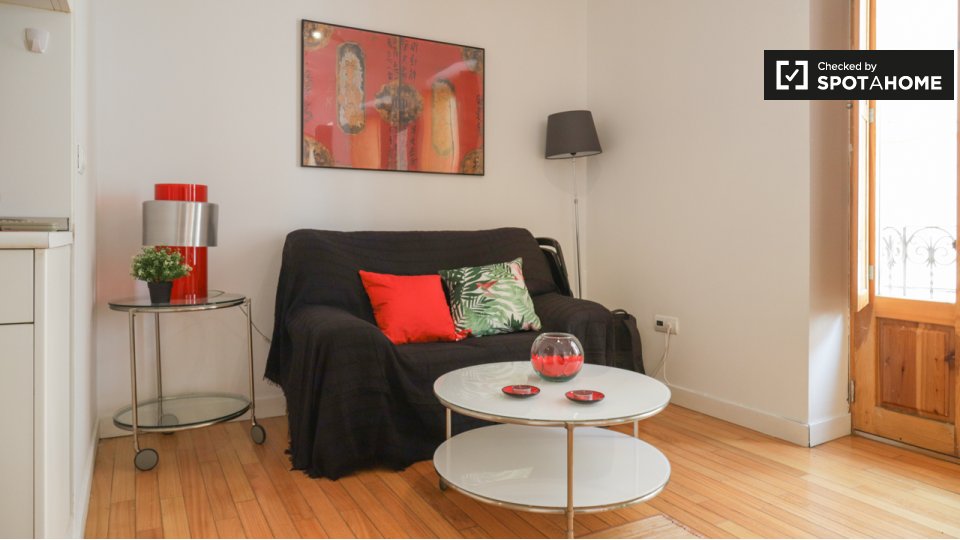 Apartment mono Madrid, 1m² — photo 4