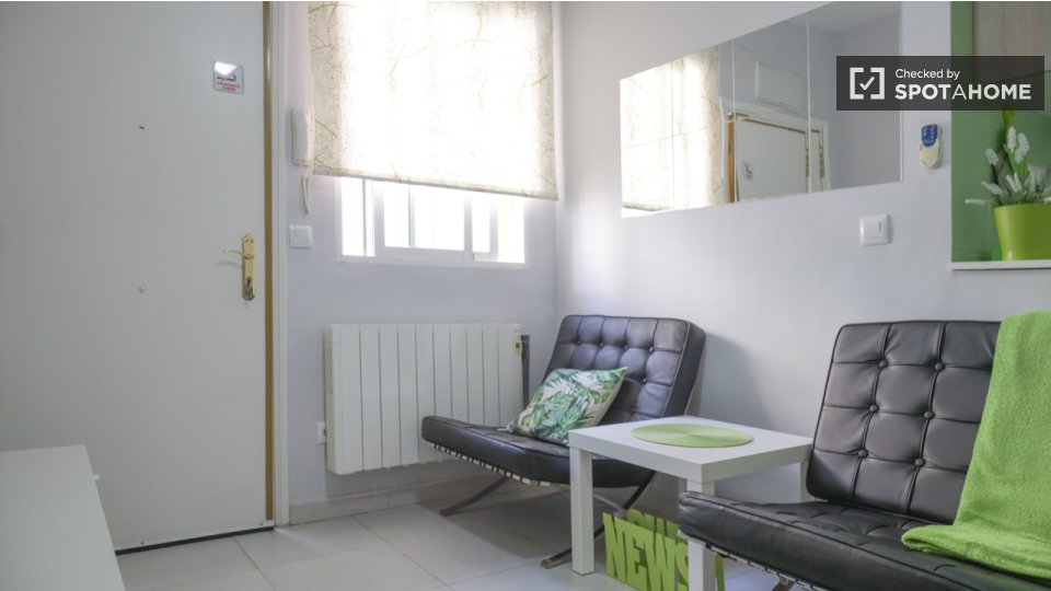 Apartment mono Madrid — photo 11