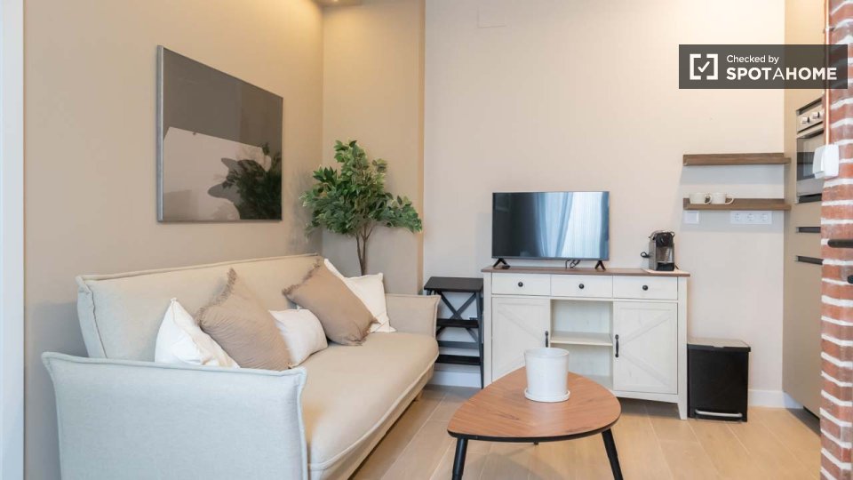 Apartment Madrid, 1 bed — photo 13