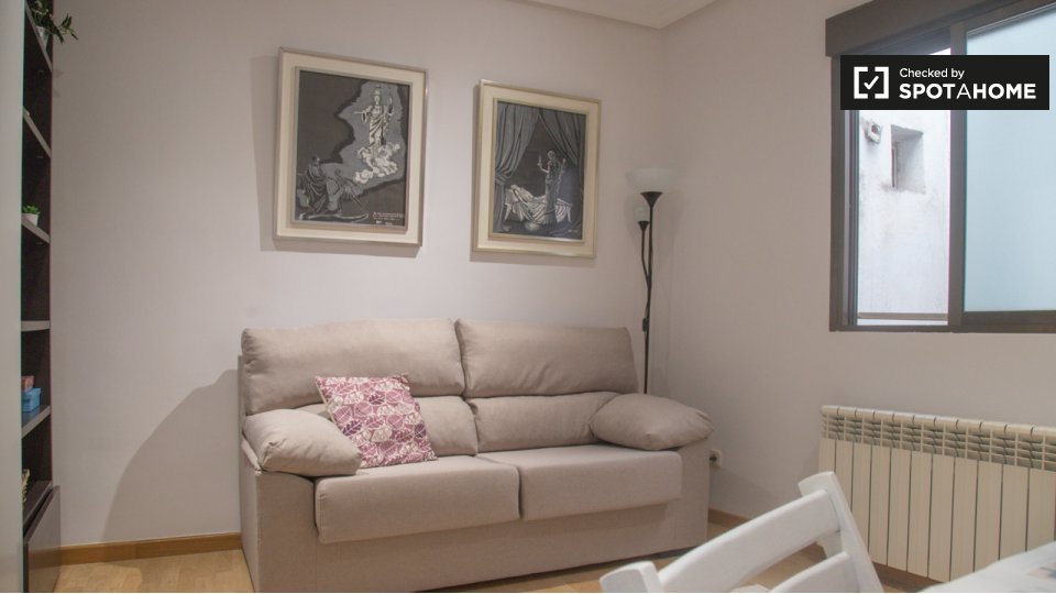 Apartment Madrid, 1 bed — photo 7