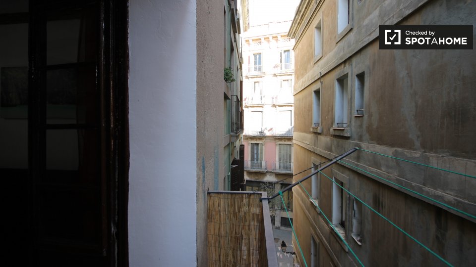 Double room Barcelona, 2 beds — photo 13