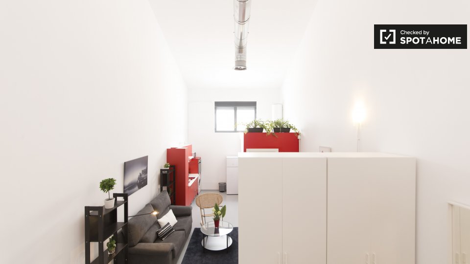 Apartment mono Madrid — photo 14