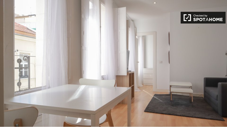 Apartment Madrid, 1 bed — photo 18